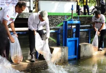 Ribuan Benih Ikan Nila Ditebar di Sungai Depan Dispartan Kudus