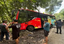 Tabrakan Maut Jalan Raya Purworejo-Magelang, 1 Orang Meninggal, 2 Luka Ringan