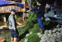 Angin Kencang Robohkan Kandang Milik Warga Sukolilo Pati