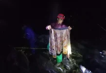 Diterjang Longsor, Petani di Wonosobo Terjatuh dan Hanyut di Sungai Bogowonto