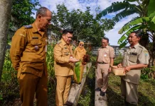 Salatiga Panen Perdana Sorgum, Strategi Perkuat Ketahanan Pangan Lokal