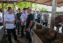 Cegah Penyakit Ternak, Layanan Kesehatan Hewan Digeber Jelang Iduladha