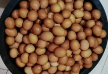 Cara Menyimpan Telur Ayam agar Tahan Lama