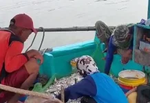 Musim Angin Timur, Hasil Tangkapan Nelayan Pekalongan Melimpah