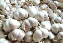 Trik Cepat Mengupas Bawang Putih tanpa Ribet