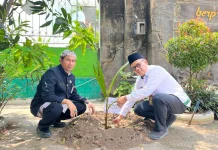 MTsN 2 Rembang Tanam 700 Bibit Kelapa, Dukung Program Ekoteologi Kemenag