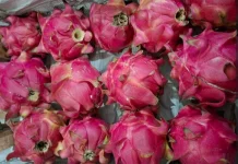 Ide Produk UMKM Berbahan Dasar Buah Naga