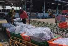 Produksi Melimpah, Jateng Fokus Wujudkan Kemandirian Pangan Berbasis Ikan