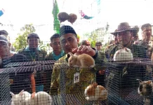 Wagub Jateng Dorong Pekan Agro Digitalisasi dan Inovasi Masuk Kalender Wisata
