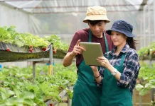 Gerakkan Pertanian Modern, Petani Muda Jadi Harapan Hadapi Tantangan El Nino