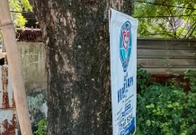 Halo RRI, Pemasangan Pamflet Dipaku di Pohon Merusak Lingkungan
