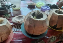 Degan Biasa Menyegarkan, Degan Bakar Menghangatkan