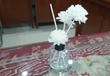 Diffuser Tingkatkan Mood Booster Alami