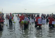 PMI Batang Upayakan Kawasan Rob Denasri Kulon Jadi Wisata Perikanan