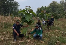 Wujudkan Hutan Berkelanjutan, Perhutani Purwodadi Kawal Pertumbuhan Jati Plus
