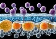 Pendekatan Baru Anti-Aging, Regenerasi dari Dalam dengan Terapi Seluler