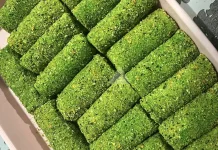 Perpaduan Risol dan Matcha Curi Perhatian Pecinta Kuliner