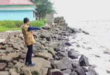 Anggota DPRD Rembang Sebut Giant Sea Wall Jadi Solusi Atasi Abrasi