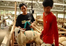 Dompet Dhuafa Jawa Tengah Lakukan Quality Control Ketat Jelang Idul Adha