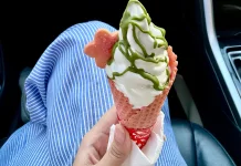 Mengapa Makan Ice Cream dengan Cepat bisa Mengalami Brain Freeze