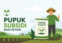 Stok Pupuk Subsidi di Purworejo Aman, Pemkab Pastikan Tidak Ada Kenaikan Harga