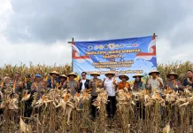 Panen Raya Jagung, Polres Batang Dukung Swasembada Pangan Nasional