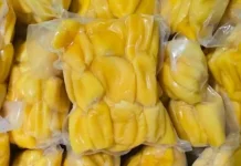 Strategi Pengemasan Nangka Frozen agar Tetap Segar