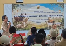 Jelang Iduladha, Panitia Kurban Dibekali Teknik Penyembelihan Hewan Standar ASUH