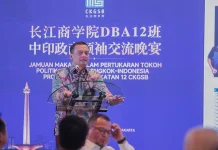 Luthfi Tawarkan Investasi Energi Baru Terbarukan ke Puluhan Investor Tiongkok