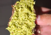 Cara membuat Mochi Dubai Pistachio