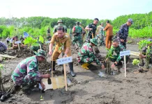 Lawan Abrasi Pantai, Kodim 0710 Gandeng Pemkab Pekalongan Tanam Seribu Mangrove