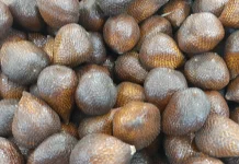 Tips Menyimpan Salak agar Awet
