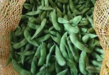 Ide Camilan Sehat Berbahan Dasar Edamame