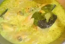 Cara Menghangatkan Opor Ayam agar Tetap Lezat