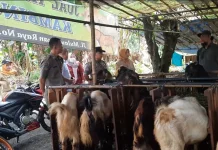 Sidak, Dinas Pertanian Temukan Satu Penjual Hewan Kurban di Semarang Tak Punya SKKH