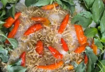 Cara Membuat Nasi Liwet Sederhana Ala Rumahan