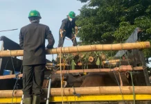 Karantina Jateng Awasi Ketat Lalu Lintas Hewan Kurban di Tanjung Emas