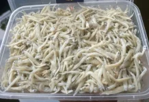 Trik Menggoreng Teri Nasi agar Renyah