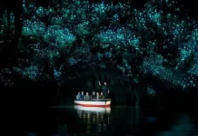 Uniknya Cahaya Glowworm di Gua Waitomo Selandia Baru