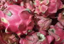 5 Tips Jitu Memilih Buah Naga