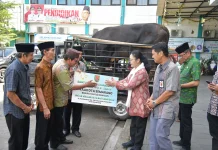 Wali Kota Agustina Salurkan Sapi Kurban, Ribuan Warga Kota Semarang Siap Menerima