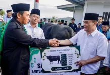Salat Id Bersama Warga Huntara, Gubernur Jateng Hadiahkan Sapi 906 Kg