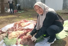 Waspada Cacing Hati, Dispaperta Batang Sidak Penyembelihan Hewan Kurban