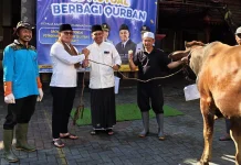Ekonomi Lesu, Warga Muhammadiyah Kota Magelang Tetap Antusias Berkurban