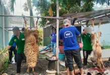 Lapas Batang Tebar Kepedulian Sosial Lewat Kurban Iduladha