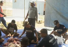 Semangat Gotong Royong Warnai Penyembelihan Kurban Masjid Jami Ar-Rohman Batang