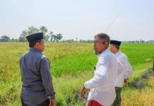 Sawah Petani Tinanding Tertimbun Lumpur Pascabanjir, Pengerukan Jadi Solusi