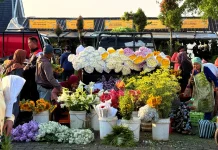 Pasar Bunga Bandungan, Surga Florikultura Terbesar di Jawa Tengah