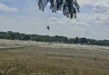 Halo RRI : Irigasi Sawah Sulit, Petani Penggarap di Kendal Terancam Gagal Tanam