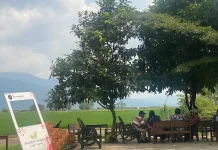 Baloeng Gadjah Tuntang, Hadirkan Sensasi Kulineran di Tepian Sawah